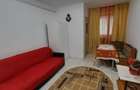 Apartament cu 1 camera in Tudor Vladimirescu - 3