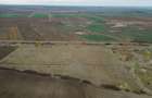 Teren 22.500 mp – Pecica, jud. Arad - 8