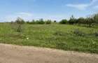 Teren arabil, 5Ha, langa lacul Belina, Teleorman - 2