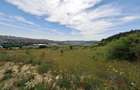 Teren intravilan 5.800 mp, Baciu Vatra Satului Vechi, Panorama superba - 18