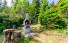 Casa 3 camere, 840 mp teren care include padure, Paltinis - 5