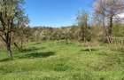 Vand teren intravilan in Albesti de Muscel