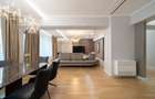 Symbiotik Suite | Apartament 3 camere de inchiriat, Parc Herastrau, ultralux - 2