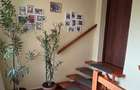 Casă spațioasă cu piscină, crama și teren generos – zona Aurel Vlaicu - 8