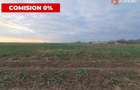 COMISION 0% Teren extravilan 20.000 mp la sosea in Sag  - 3