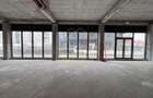 Spatii comerciale 113-144mp SAD | Mehala - 2