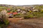 RECO Teren intravilan in Oradea 2086mp - 1