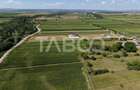 Teren intravilan 2000 mp si extravilan 1150 mp de vanzare in Vad - 2