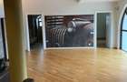 DE INCHISIAT CASA INDIVIDUALA ELEGANTA ZONA EROU IANCU NICOLAE PIPERA - 26