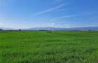 Teren Sibiu - Calea Surii Mari - 4500 mp