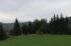 TEREN PREMIUM 5.023 MP ÎN VORONEȚ | BUCOVINA | ZONA MĂNĂSTIR - 14