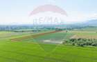 Teren de vânzare 11.500 mp | Ghimbav | Strada Aeroportului - 2