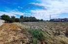 Teren ideal pentru complex rezidențial – Aradul Nou - 13
