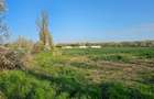 10.100mp TEREN CONSTRUCȚII INTRAVILAN POTIGRAFU, DESCHIDERE 31m direct la DN1 - 3