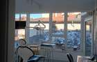 Proprietar vand doua vile in zona Calea Plevnei - 8