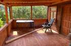 Cabana 50 mp, cartier Zorilor - 4