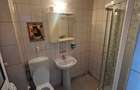 Apartament - spatiu comercial 2 camere DECOMANDAT, NICOLINA 1 - 4