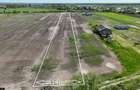 CIOLPANI, LOT 4.900 MP!