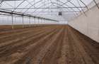 Proprietate cu afacere agricola la cheie - 2
