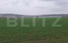 Teren extravilan agricol, 4200 mp, zona Cugir - 1
