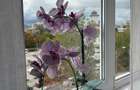 Apartament 2 camere decomandat, etaj 4 | Mărăști - Expo Transilvania - 3