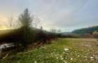 TEREN INTRAVILAN 2,26 HA | SUCEVITA | - 5