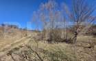 Teren de vanzare de 8,567MP in zona: Tarpiului