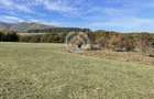 Teren Extravilan | Rășinari – Poplaca | Cadru Natural Unic - 1