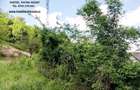 Teren 2000 mp, str.Nicu Albu, cadru natural superb - 2
