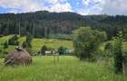 Casa 225 mp, teren intravilan 4822 mp C. Moldovenesc, Suceava - 7