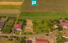 Teren intravilan de 602mp în Cicir, Vladimirescu - 7