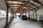 3 Hale + Cladire de birouri, teren 4300 mp, Sebes - 7