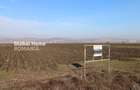 Teren 25000 MP | TG. MURES-SANPAUL | INTRAVILAN | 98 m acces DN 15 | A3 la 5 km - 3