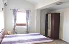 Inchiriere Penthouse Otopeni - 11