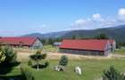 Casa din busteni cu ferma zootehnica si afacere (Tengheler, Com. Ditrau) - 24