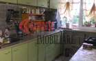 Dristor, Camil Ressu, Ambrozie, Metrou, Parc IOR - 5