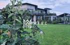Casă 5 camere de vânzare | Sibiu, Turnișor | 550 mp, piscină