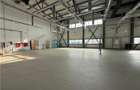 Royal Imobiliare-  Spatiu Industrial Zona Exterior Vest - 5