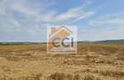 Teren intravilan– 50.000 mp, Bacău, Șoseaua Hol - 1