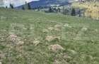 Teren 3200 mp, intravilan+extravilan, Vatra Dornei, str. Roșu - 3