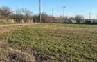 Vand teren Intravilan 1400 MP in Parcul National Comana - Vlad Tepes - Giurgiu - 3