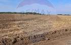 Teren 21,177mp Santaul Mic / Strada - - 2