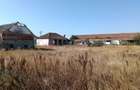 OPORTUNITATE DE INVESTIȚIE – PISCHIA, JUDEȚUL TIMIȘ - 10