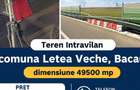 Teren intravilan 49500 mp, Letea Veche, Bacau - 1