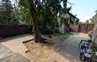 Casa 5 camere 220mp | 0 comision | Tunari central | 200mp teren - 46