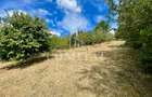 Casă individuală cu teren generos și panoramă Chinteni