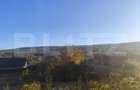 Teren intravilan 500 mp, la asfalt,  in Goruni-Tomesti - 2