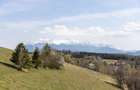 🌿 Teren Intravilan 3.791 mp | Priveliște Panoramică Superbă | Poiana Mărului - 10