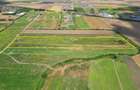 Teren Sacalaz 3,6 Ha - Pretabil PUZ Locuinte - 8