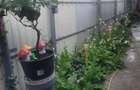 Casa 5 camere, suprafata teren 200 mp, zona Piata Saraca - 9